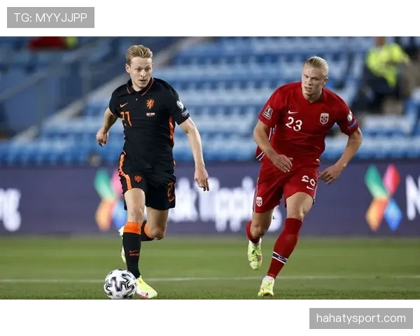 哈兰德终结效率与坎塞洛组织角色的结构性偏移分析