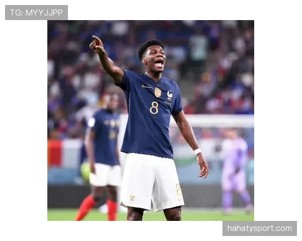 奥雷利安·楚阿梅尼对比罗德里：防守型中场模板对比