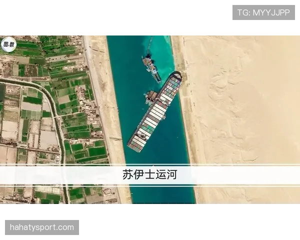 阿尔及利亚能否在2026世界杯重现北非之光 解析沙漠之狐的晋级之路与战术革新